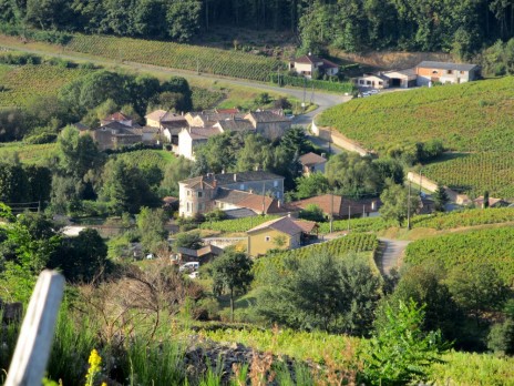 vendanges-Beaujolais