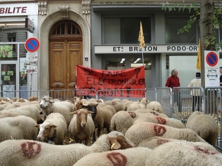 Manif-Moutons-puce-RFID-Lyon