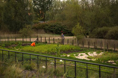 Varietes-Anciennes-Lyon-potager