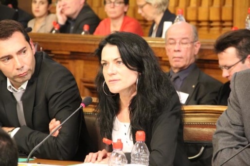 Nathalie Perrin-Gilbert s'est positionnée comme une opposante de Gérard Collomb défendant des valeurs "de gauche". Ce qui a fait sourire le maire. Crédit : Pierre Maier / Rue89Lyon.