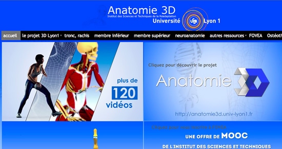 Capture d'écran MOOC Lyon 1, Anatomie 3D