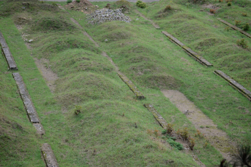 Un terrain aux allures de cimetière qui attend d'être rempli. © E. Soudan