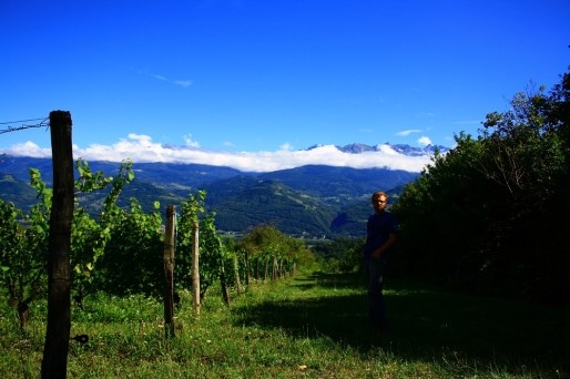 Thomas Finot dans ses vignes. Crédit BP/Confessions d'un naturiste.