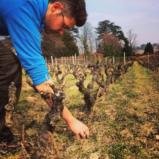 Yann Bertrand, vigneron dans le Beaujolais. Crédit : BP.