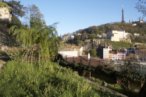 Le jardin partagé de la Muette sur les Pentes de la Croix-Rousse ©Eva Thiébaud/Rue89Lyon