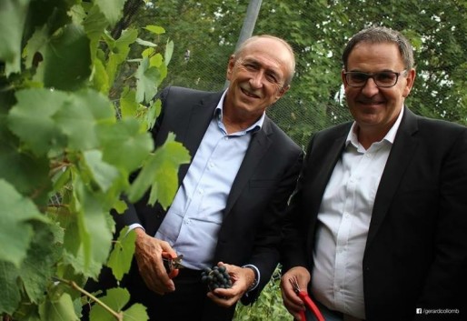 G. Collomb et D. Kimelfeld pendant les vendanges de la République des Canuts 2015. Sur le FB de D. Kimelfeld.