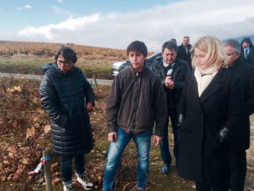 Barbara Pompili dans les vignes de la famille Foillard, dans le Beaujolais. DR