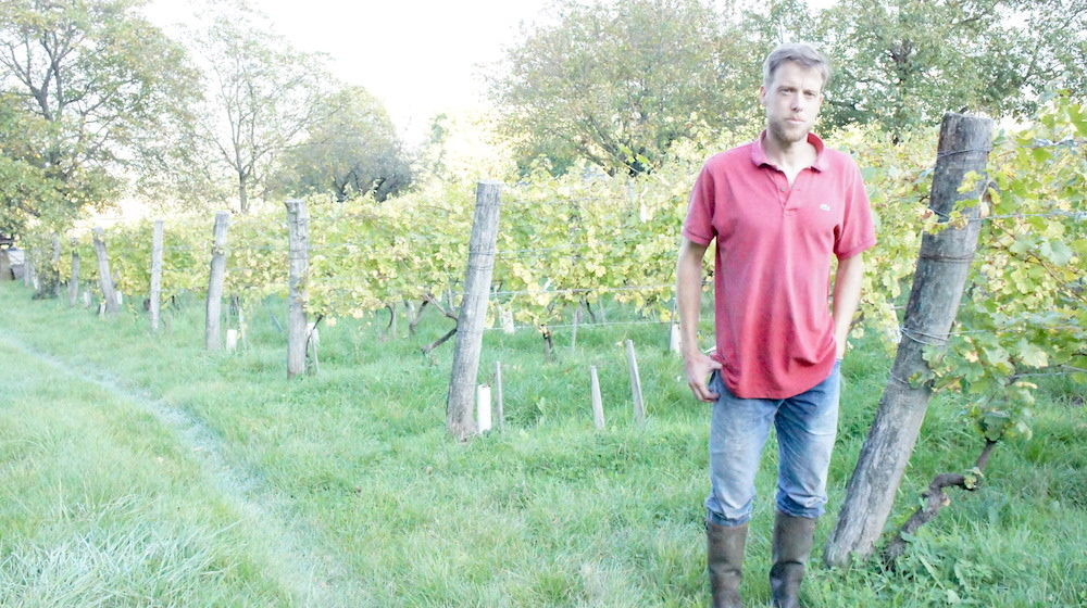 Laurent Fondimare du Domaine des Rutissons, devant des vignes de verdesse palissées à 1,85 m. ©LB/Rue89Lyon