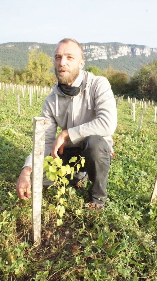 Sébastien Bénard devant un plant de Servanin planté en 2016 à La Buisse. ©LB/Rue89Lyon