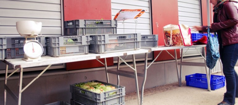 Circuits courts (3/6) : le business des paniers alimentaires