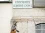 vigie lyon2