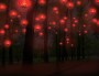 Pourquoi je retourne à la Fête des Lumières alors que je la déteste