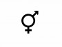 Intersexe
