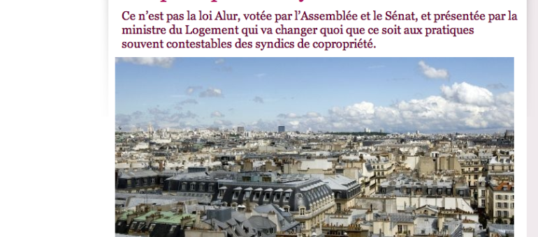 Face aux syndics, la loi Duflot est une fausse menace