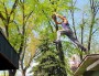 Parkour