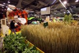 Stand de semences bio au Salon de l'Agriculture 2008 à Paris Patrick Hertzog AFP/Archives