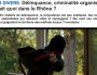 Capture d'écran de l'article "Délinquance, criminalité organisée, qui fait quoi dans le Rhône ?" sur leprogres.fr.
