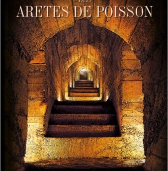 Les arêtes de poisson de Lyon : « ce soir, on entrouvre les plaques d’égouts »