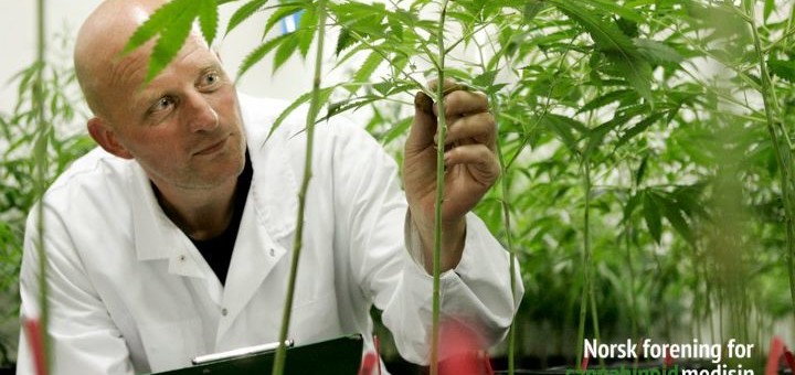 Cannabis thérapeutique : « mes parents ont dû accepter ma manière de me soigner »