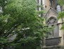 Le Diocèse de Lyon révèle des plaintes contre un prêtre présumé pédophile