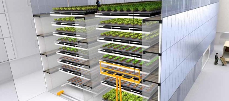 L’usine à salades fera-t-elle l’agriculture du futur, en milieu urbain ?