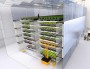 L’usine à salades fera-t-elle l’agriculture du futur, en milieu urbain ?