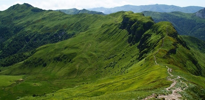 Fusion des régions : « l’Auvergne va se faire bouffer par l’ogre lyonnais »