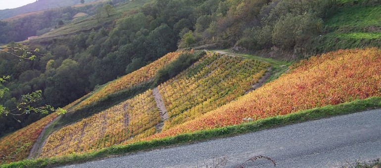 Côtes-du-Rhône : Les épandages aériens jugés illégaux pour 2012 continuent en 2014