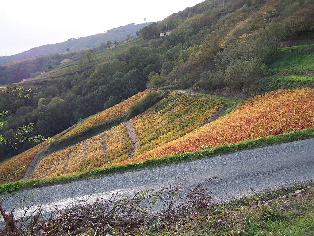 Côtes-du-Rhône : Les épandages aériens jugés illégaux pour 2012 continuent en 2014