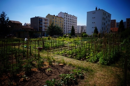 Jardin partagé Le Prés Sensé © Rue89Lyon