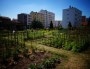 Jardin partagé Le Prés Sensé © Rue89Lyon