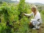 Isabelle Perraud (Côtes de la Molière). Crédit : DD/Rue89Lyon.