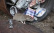Près d'un million de rats dans le Grand Lyon