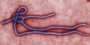 Ebola, sida : des maladies entre imaginaire social et fait politique