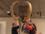 Montage des défenses du mammouth au musée des confluences. Crédit : GB/Rue89Lyon