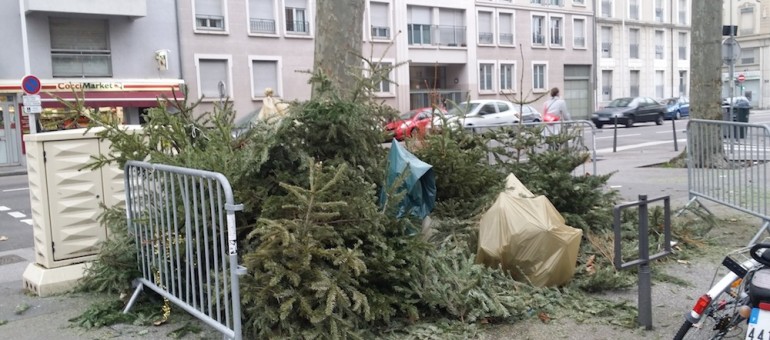 A Lyon, il est deux fois plus facile d’acheter un sapin que de s’en débarrasser