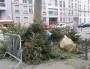 Un cimetière de sapins dans Lyon. Crédit : LB/Rue89Lyon.