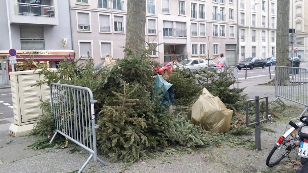 Un cimetière de sapins dans Lyon. Crédit : LB/Rue89Lyon.