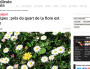 La flore menacée : « cela se passe en Rhône-Alpes, à côté de chez nous ! »