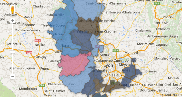 Départementales dans le Rhône : le FN au second tour dans 12 cantons sur 13