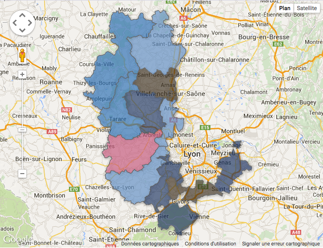 Départementales dans le Rhône : le FN au second tour dans 12 cantons sur 13