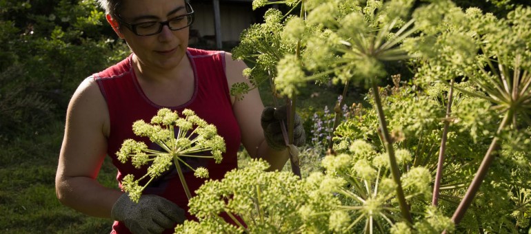 Cultiver un jardin autonome, une expérience testée et approuvée