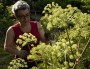 Cultiver un jardin autonome, une expérience testée et approuvée