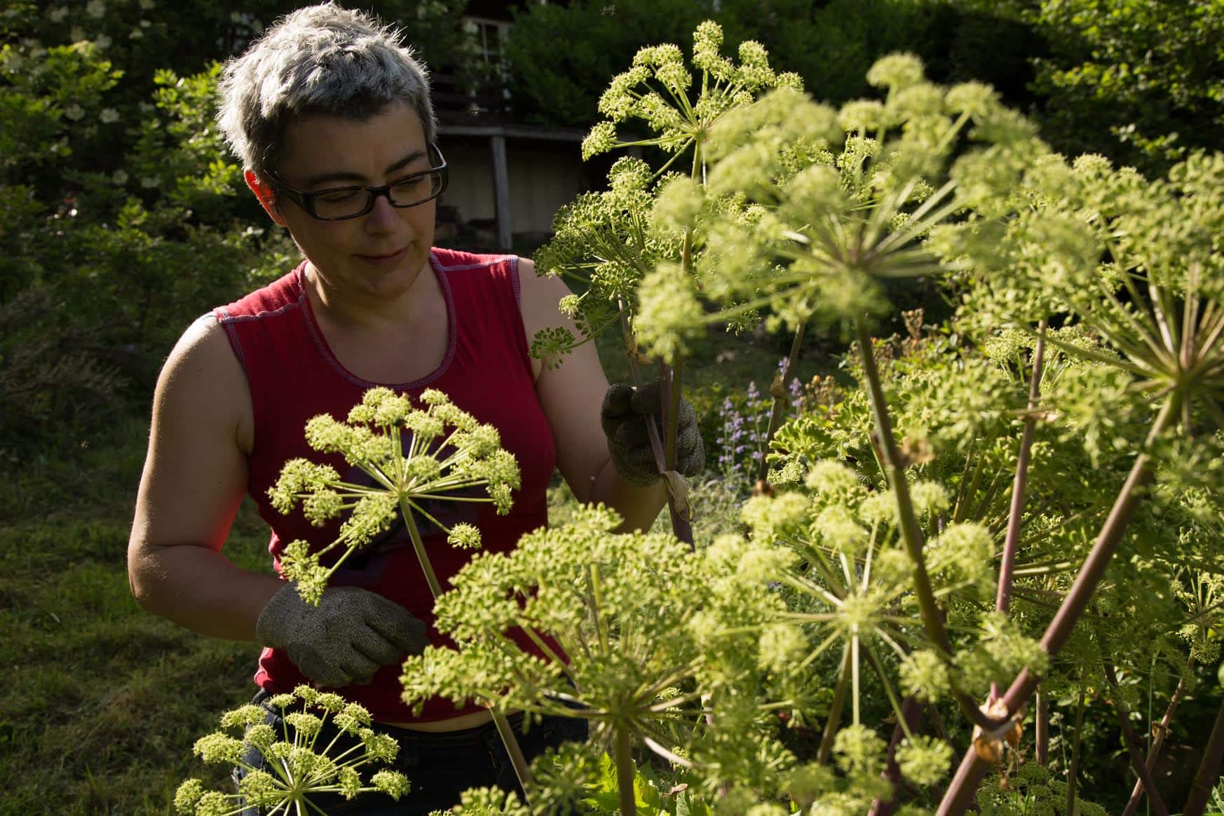 Cultiver un jardin autonome, une expérience testée et approuvée