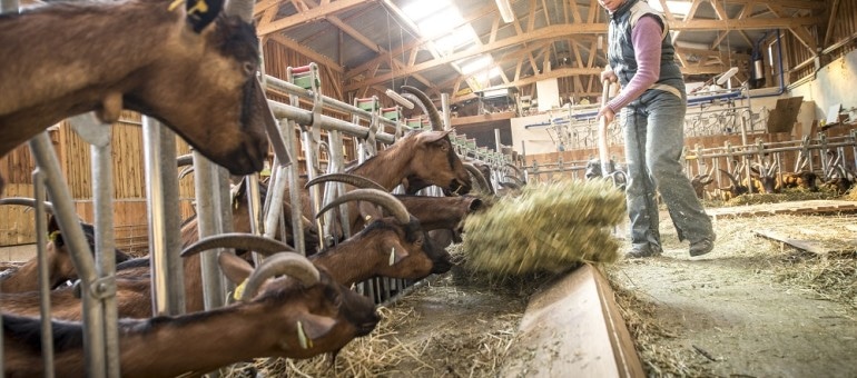 En Rhône-Alpes, des agricultrices militent face caméra pour leur reconnaissance