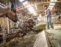En Rhône-Alpes, des agricultrices militent face caméra pour leur reconnaissance