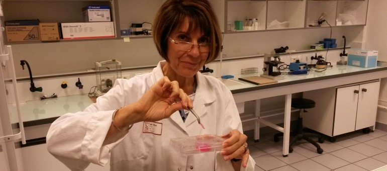 Traiter l’infertilité grâce à des spermatozoïdes in vitro : « Ils en rêvaient, on l’a fait »
