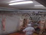 Capture d'écran de la vidéo de L214 tournée dans l'abattoir municipal d'Alès.