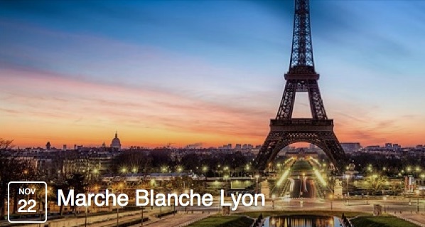 Attentats à Paris : la marche blanche de ce dimanche annulée à Lyon
