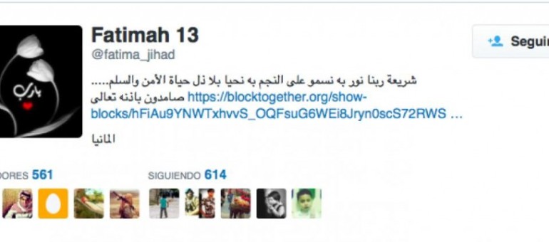 Comment l’Etat islamique se joue de Twitter